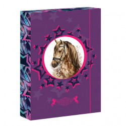 Box na zoity A4 Horse Star
