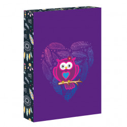 Box na zoity A4 Owl Dreams