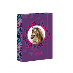 Box na zoity A5 Horse Star
