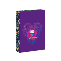 Box na zoity A5 Owl Dreams